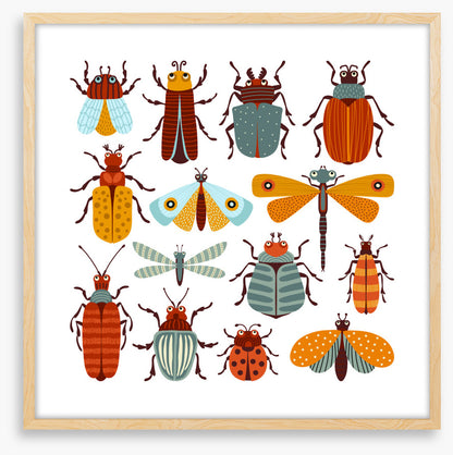 Beetles and butterflies