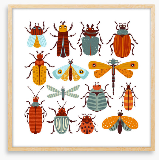 Beetles and butterflies
