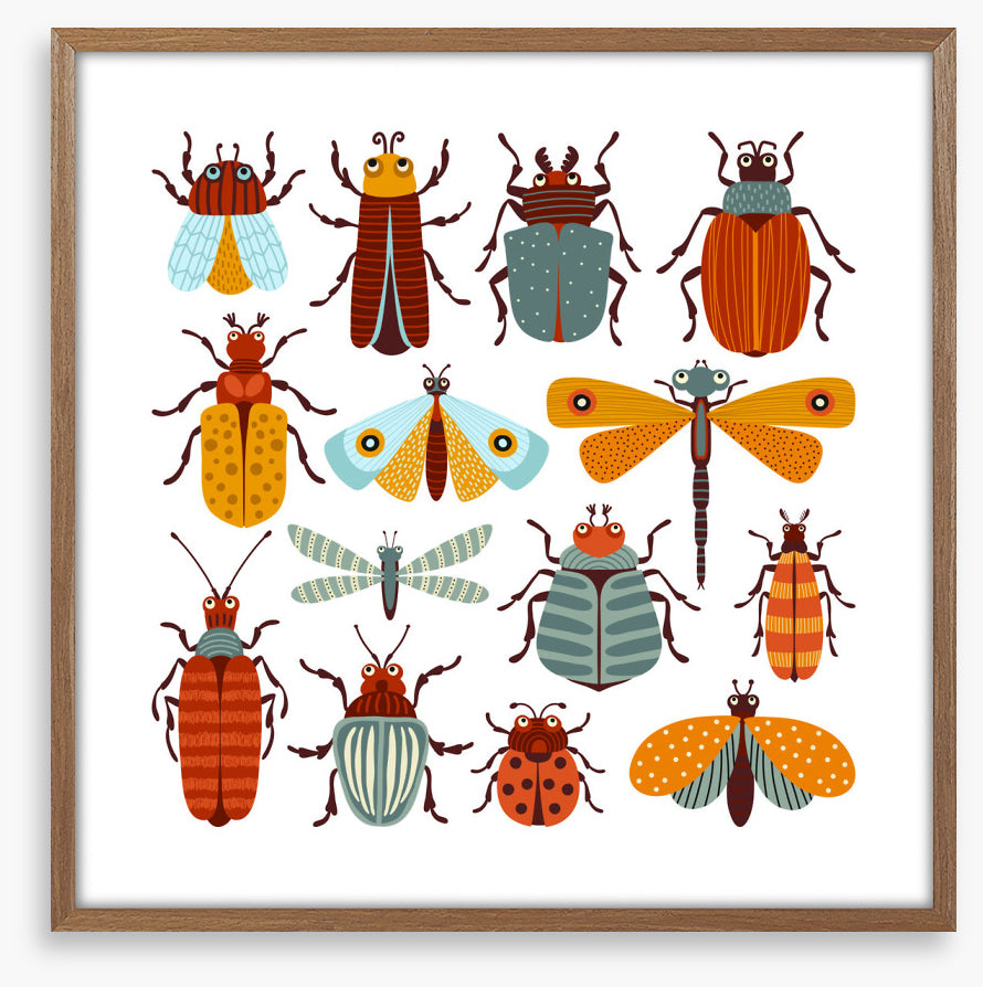 Beetles and butterflies