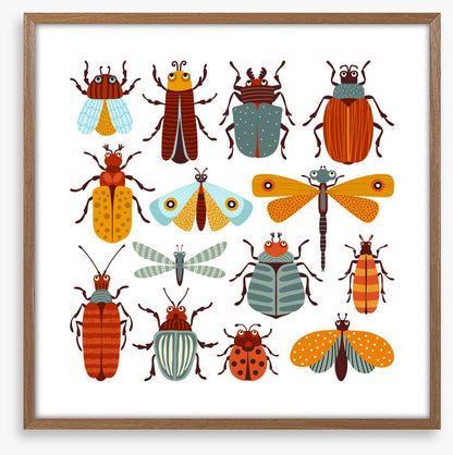 Beetles and butterflies