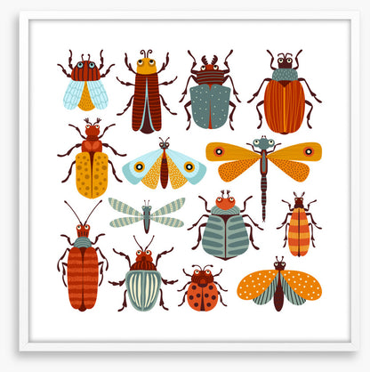Beetles and butterflies