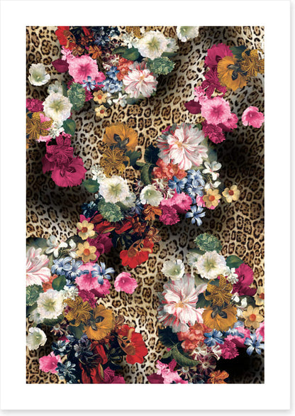Leopard blooms
