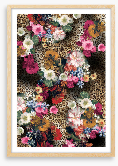 Leopard blooms