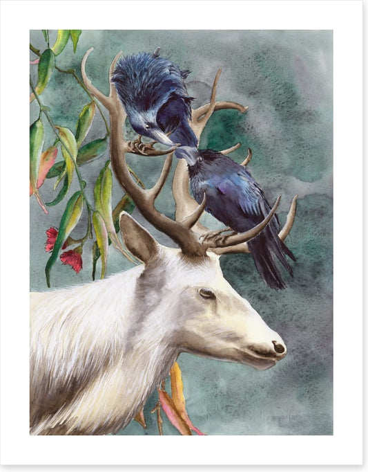 Animals