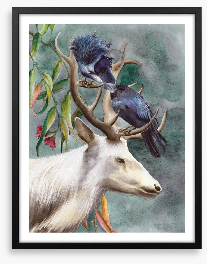 Animals