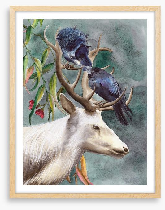 Animals