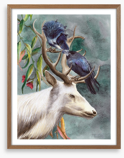 Animals