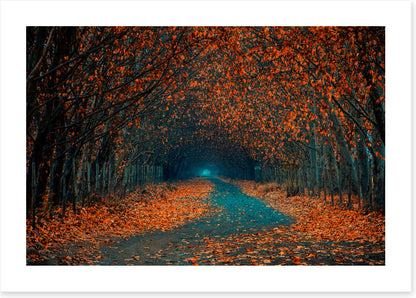 Follow the foliage