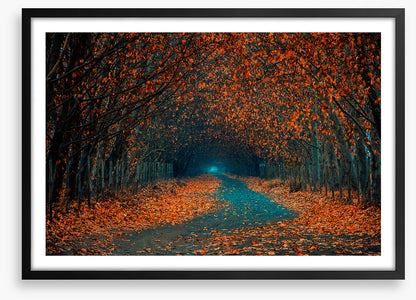 Follow the foliage