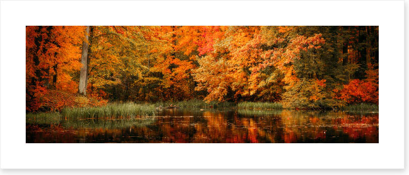 Lakeside fall panorama