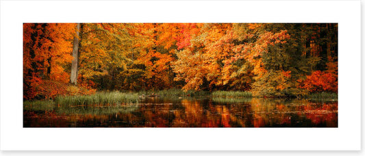 Lakeside fall panorama
