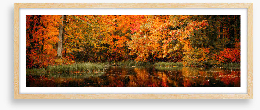 Lakeside fall panorama