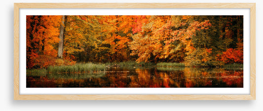 Lakeside fall panorama