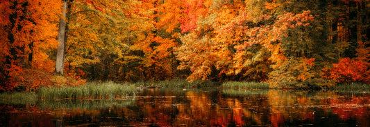 Lakeside fall panorama