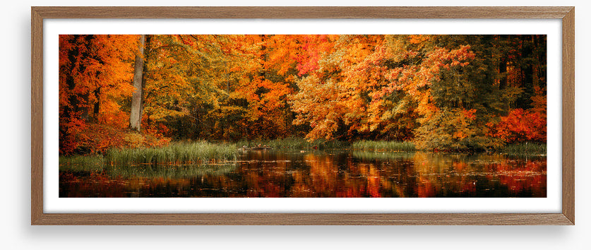 Lakeside fall panorama