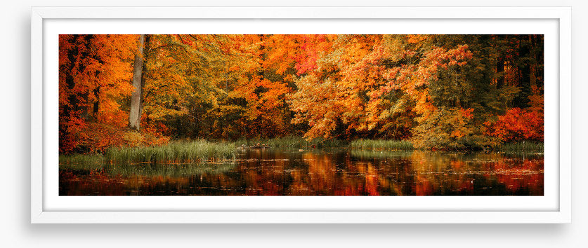 Lakeside fall panorama