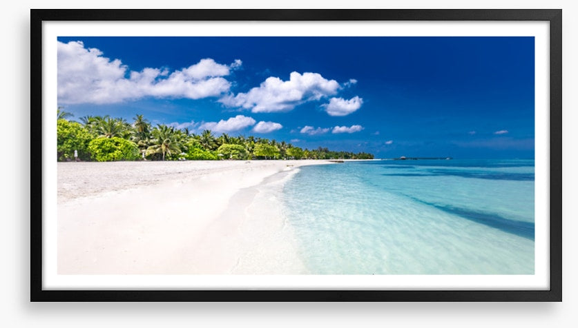 Palm fringed paradise