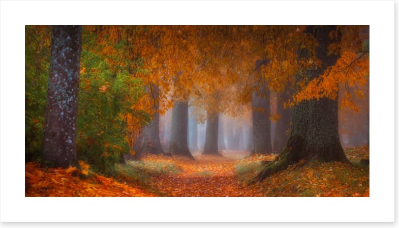 Into autumn