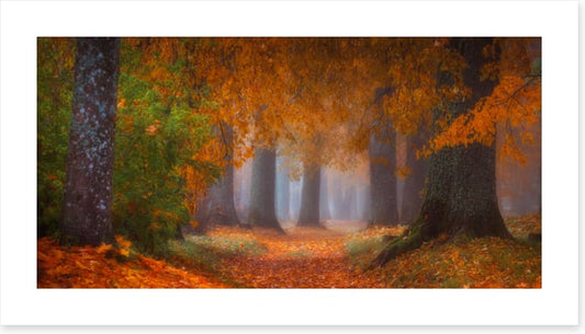 Into autumn