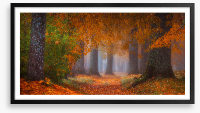 Into autumn
