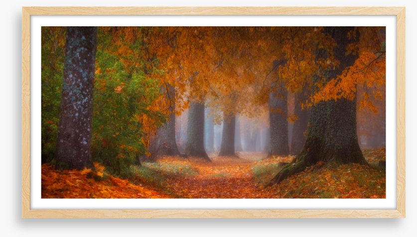 Into autumn