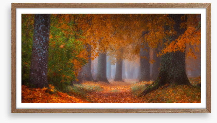 Into autumn