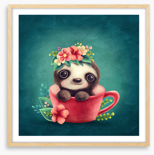 Tea cup sloth