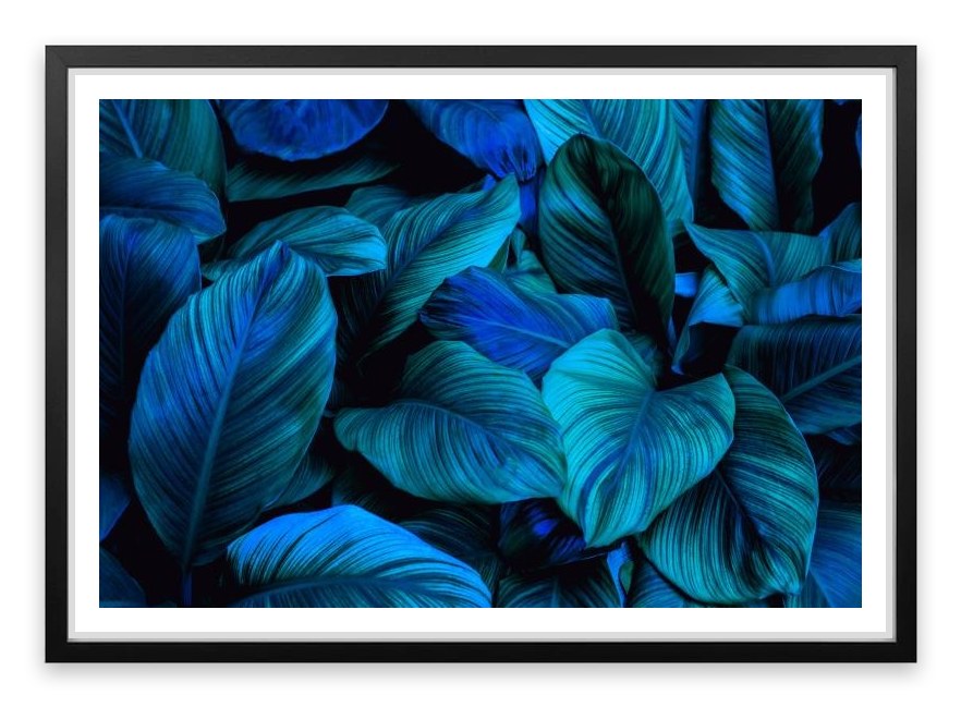 Leafy blues 2