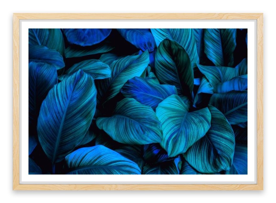 Leafy blues 2