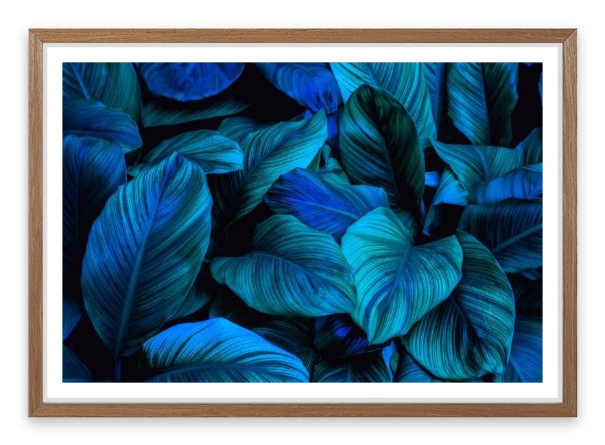 Leafy blues 2