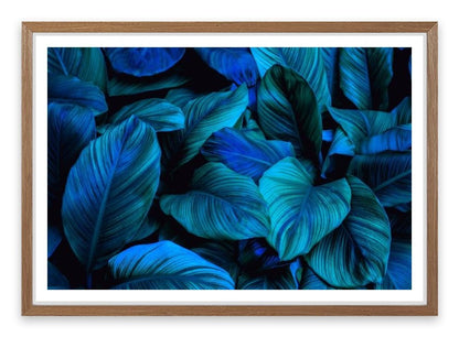 Leafy blues 2