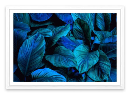 Leafy blues 2