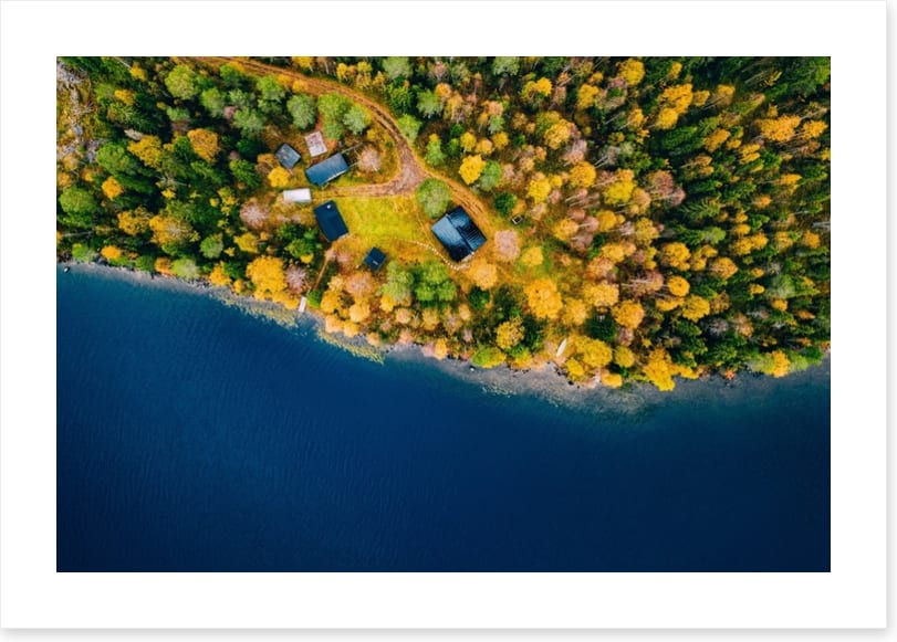 Beside the lake