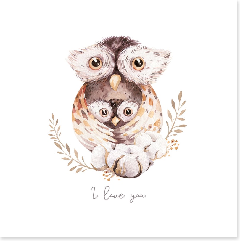 Owls
