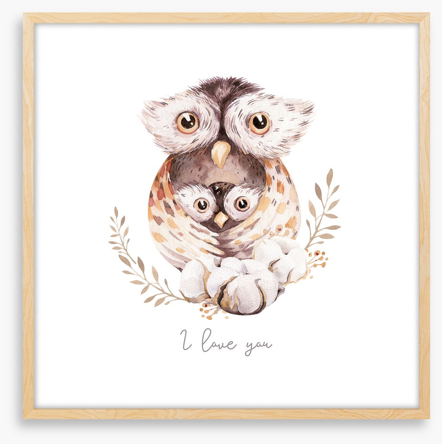 Owls