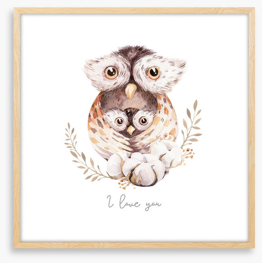 Owls