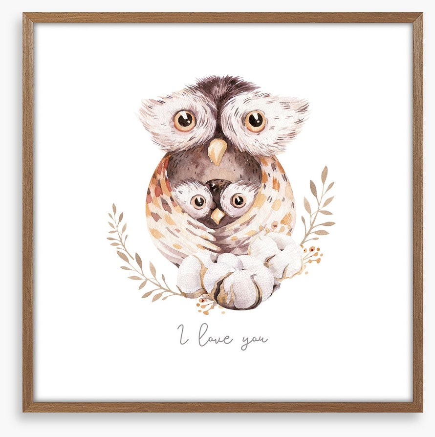 Owls