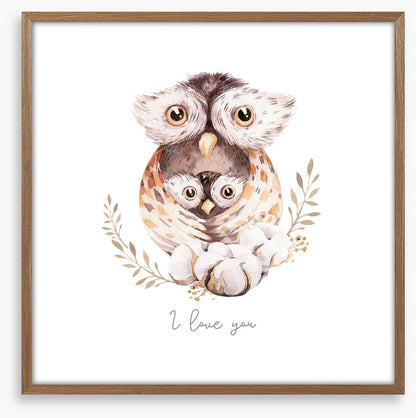 Owls