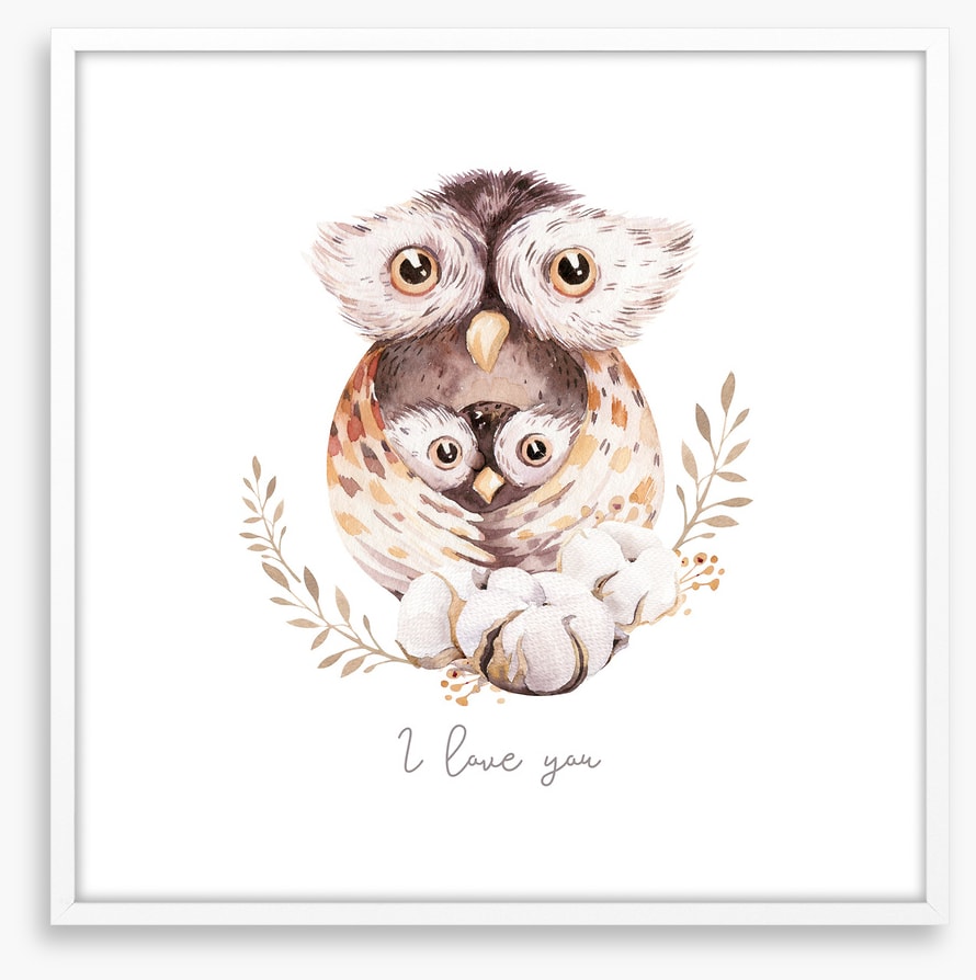 Owls