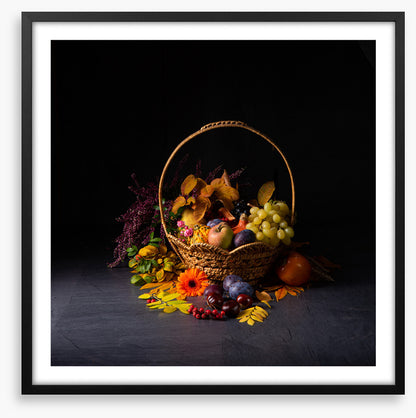 Still Life