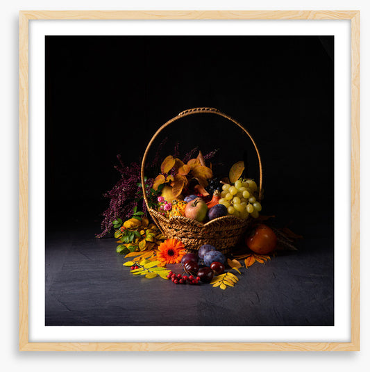 Still Life