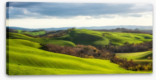 In the far field