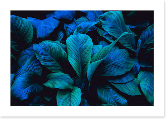 Leafy blues 1