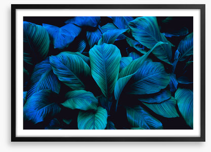 Leafy blues 1