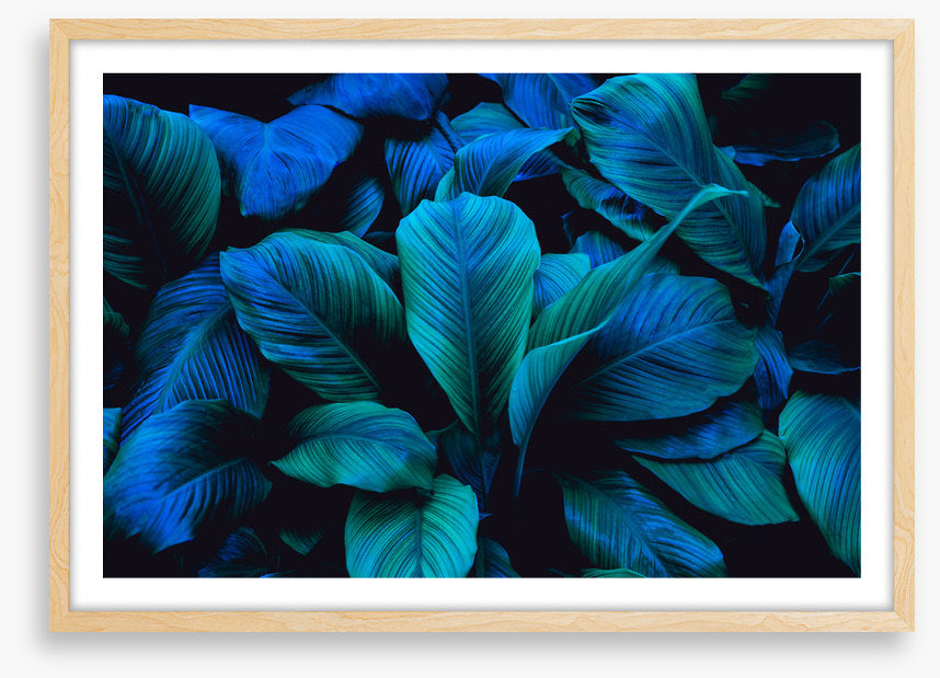 Leafy blues 1