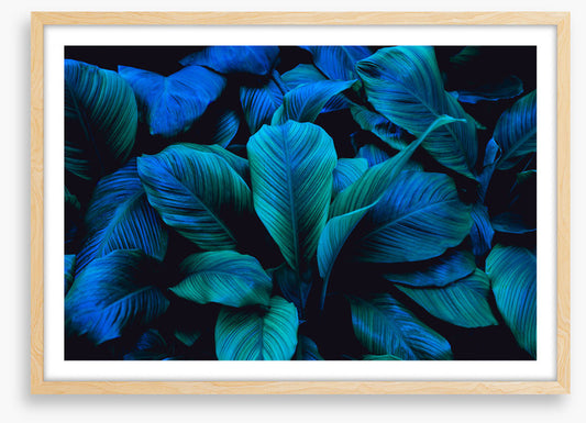 Leafy blues 1