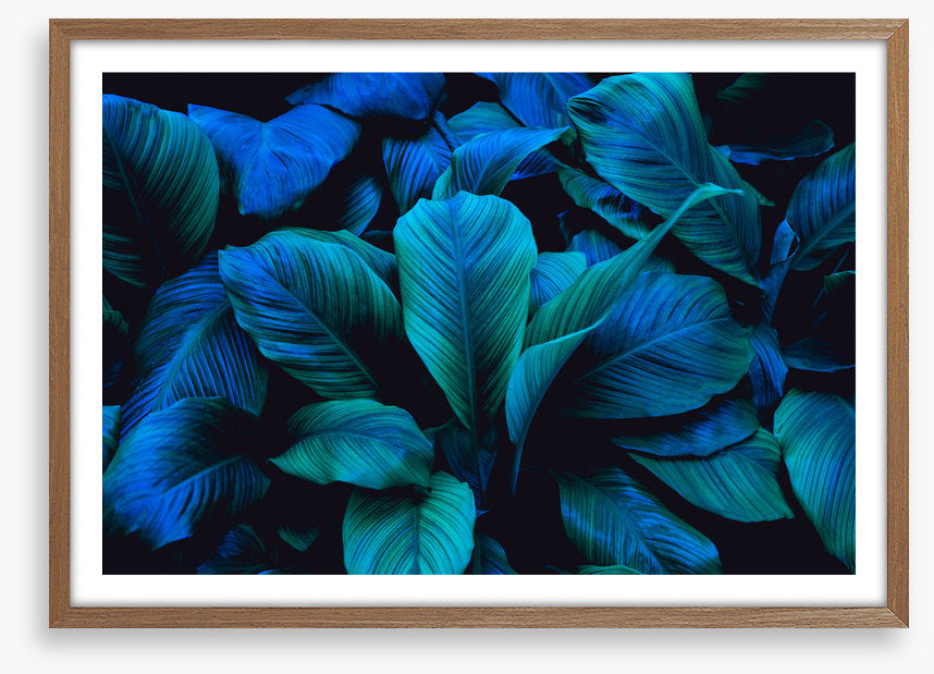 Leafy blues 1