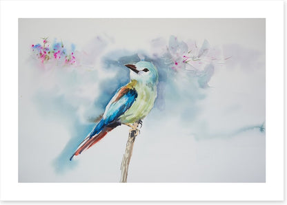 A little birdie