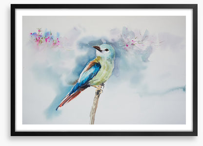 A little birdie