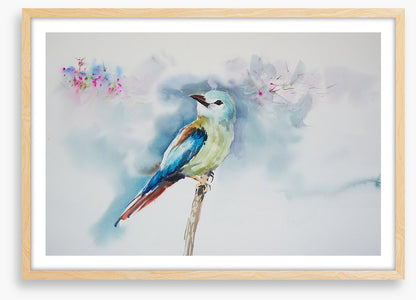 A little birdie